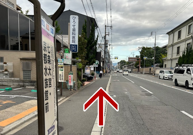バス停から北を向いた道路の様子